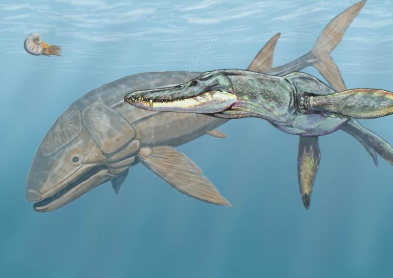“Leedsichthys: Jura Devri’nin Dev Balığı”