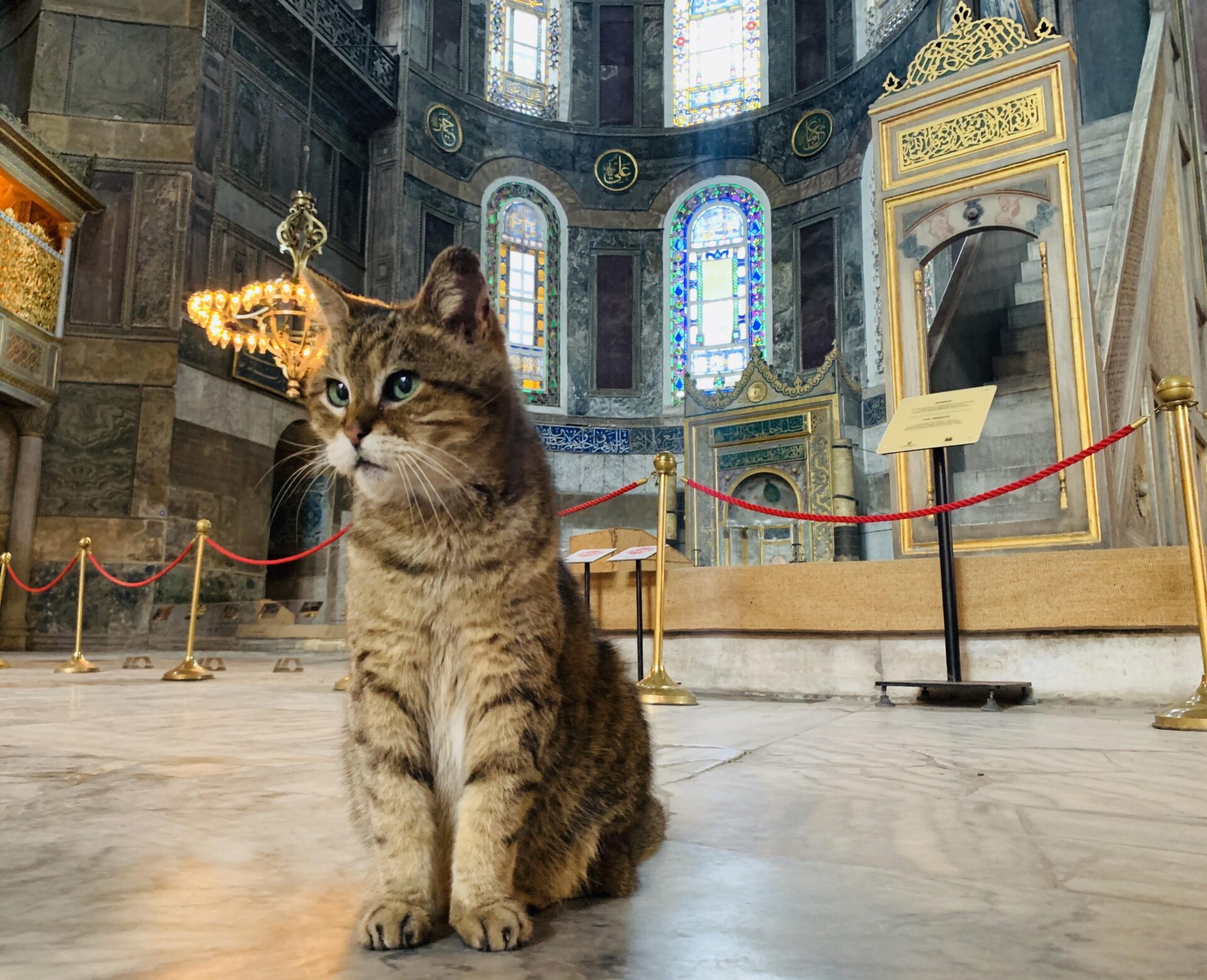 You are currently viewing “İstanbul ve Kediler: Tarihsel ve Kültürel Bir İlişki”
<span class="bsf-rt-reading-time"><span class="bsf-rt-display-label" prefix="Okuma Süresi"></span> <span class="bsf-rt-display-time" reading_time="23"></span> <span class="bsf-rt-display-postfix" postfix="Dakika"></span></span><!-- .bsf-rt-reading-time -->