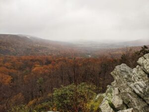 Read more about the article “Appalachian Gothic’in Kökenleri: Folklor, Korku ve Toplumsal Kimlik”
<span class="bsf-rt-reading-time"><span class="bsf-rt-display-label" prefix="Okuma Süresi"></span> <span class="bsf-rt-display-time" reading_time="30"></span> <span class="bsf-rt-display-postfix" postfix="Dakika"></span></span><!-- .bsf-rt-reading-time -->