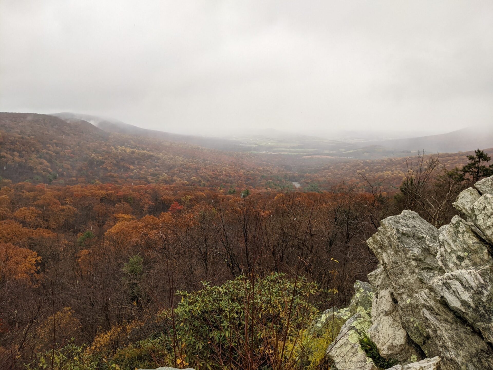 Read more about the article “Appalachian Gothic’in Kökenleri: Folklor, Korku ve Toplumsal Kimlik”