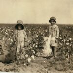 “Belgesel Fotoğrafçılığın Doğuşu ve Toplumsal Dönüşümdeki Rolü”